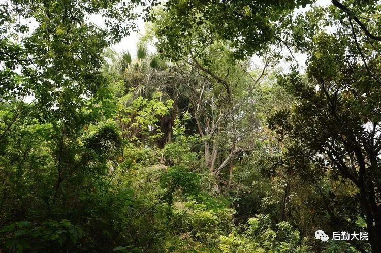 老福州烟台山,对福州烟台山的回忆