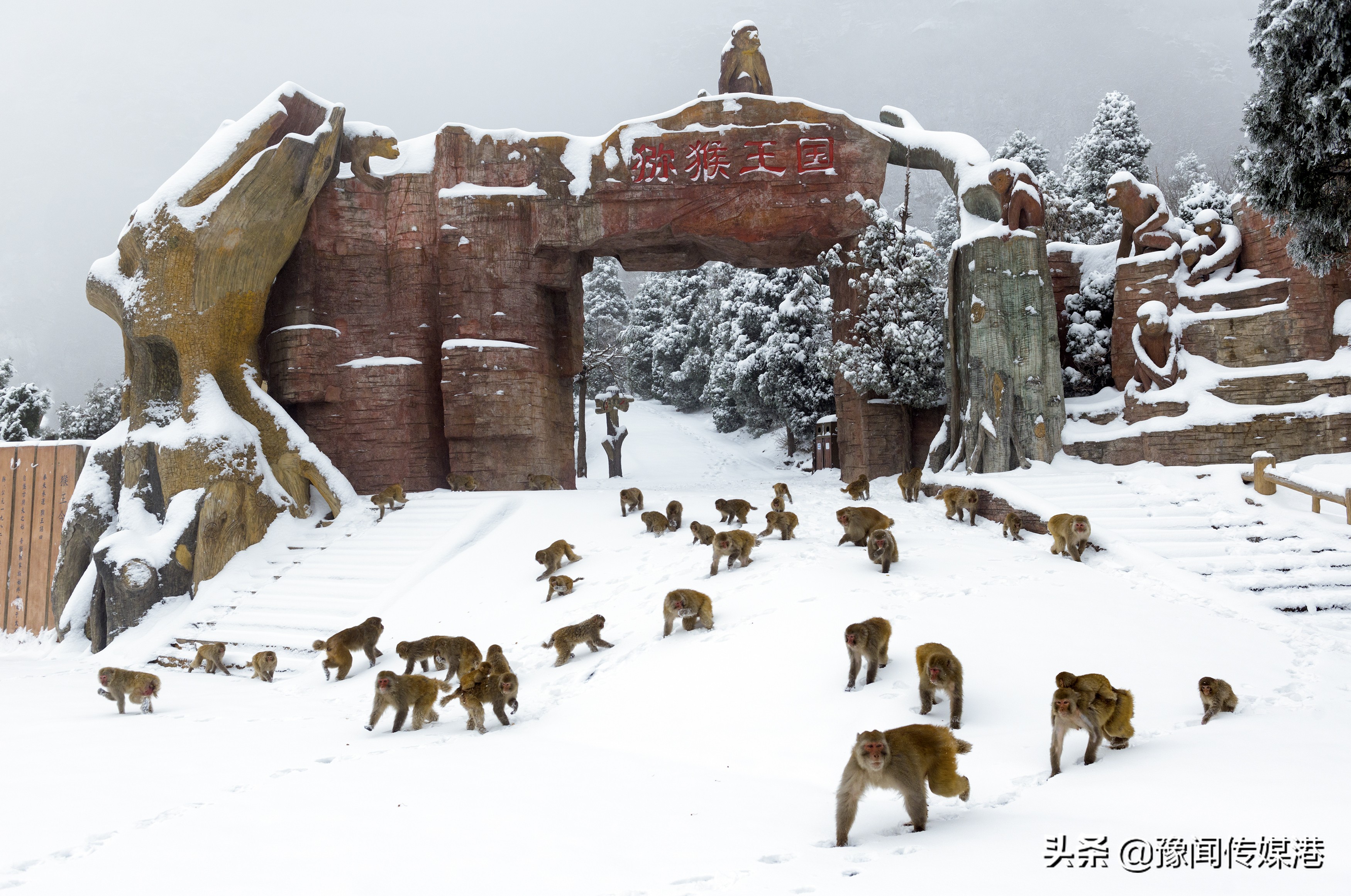 济源景色好的地方有哪些,济源全域旅游示范区