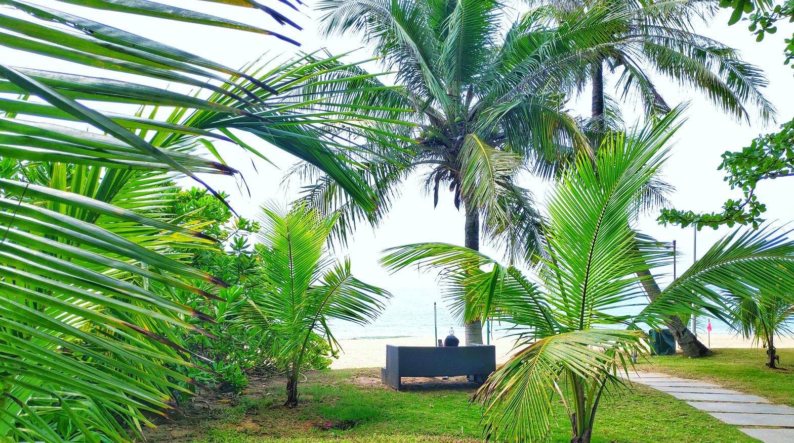 都是网红惹的祸，三亚万丽为何被称为最适合父母和宝宝住的酒店？