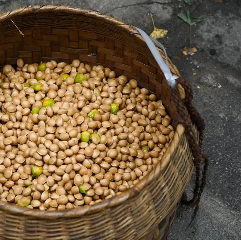 腾冲县地图在云南的哪个位置,腾冲边境地图