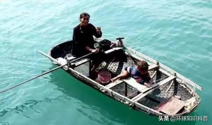 越南的奇闻奇事,越南趣闻