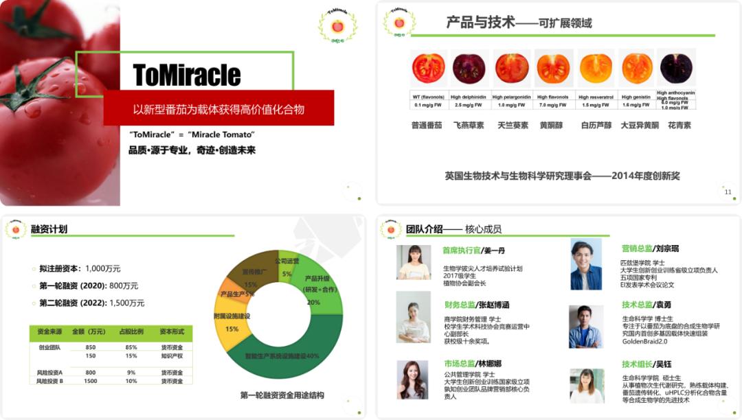 当西红柿遇上烦人的橙子,当番茄遇上西红柿视频