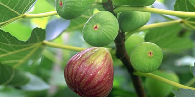 静心盘串修身养性,静心盘