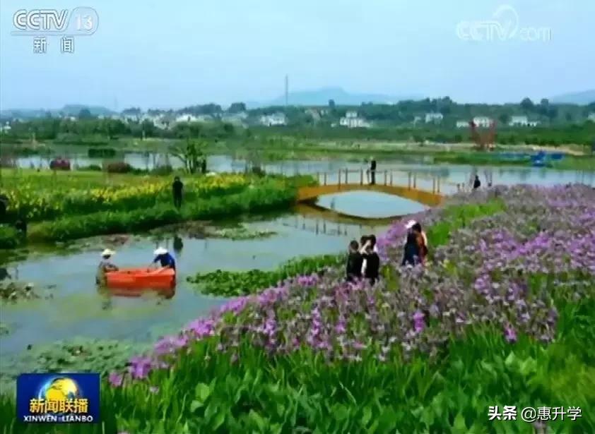 理工可以报艺术综合类的吗,中国最文艺的理工大学