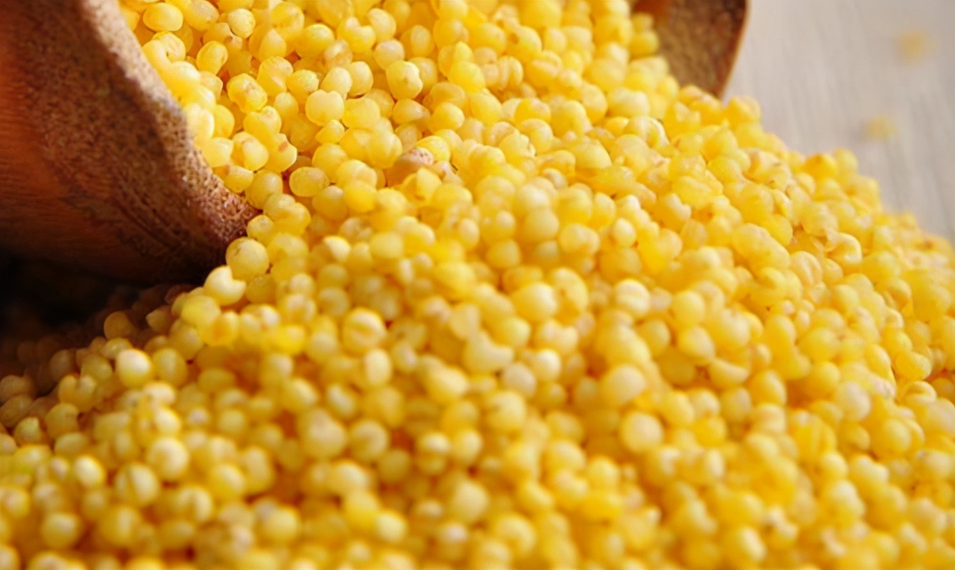 黄米和小米的区别功效与禁忌,小米黄米糯小米的区别