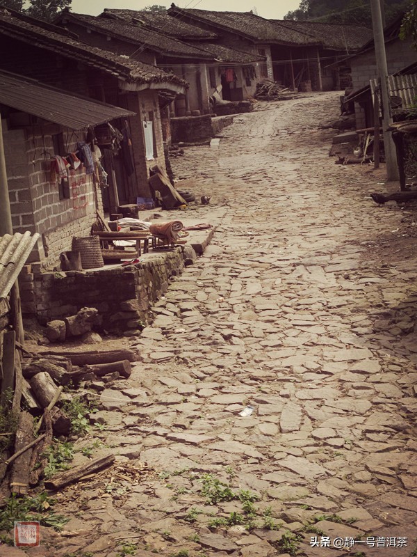 乾利贞宋聘号红标普洱茶,乾利贞宋聘号茶叶真假