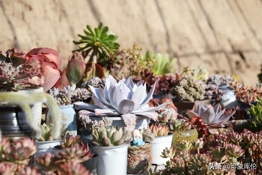 80后创业致富小伙,80后农村小伙创业历程