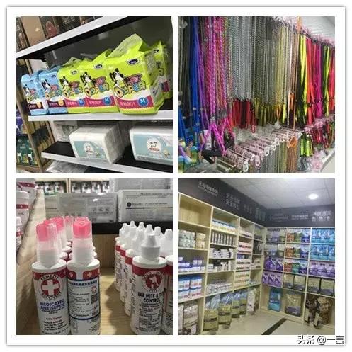 萌宠经济消费升级，藏身汉口北的超值宠物用品基地不容错过