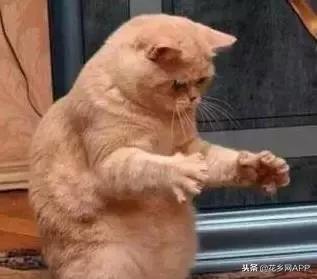 沭阳是否全国最大,沭阳真的是沭阳市了吗