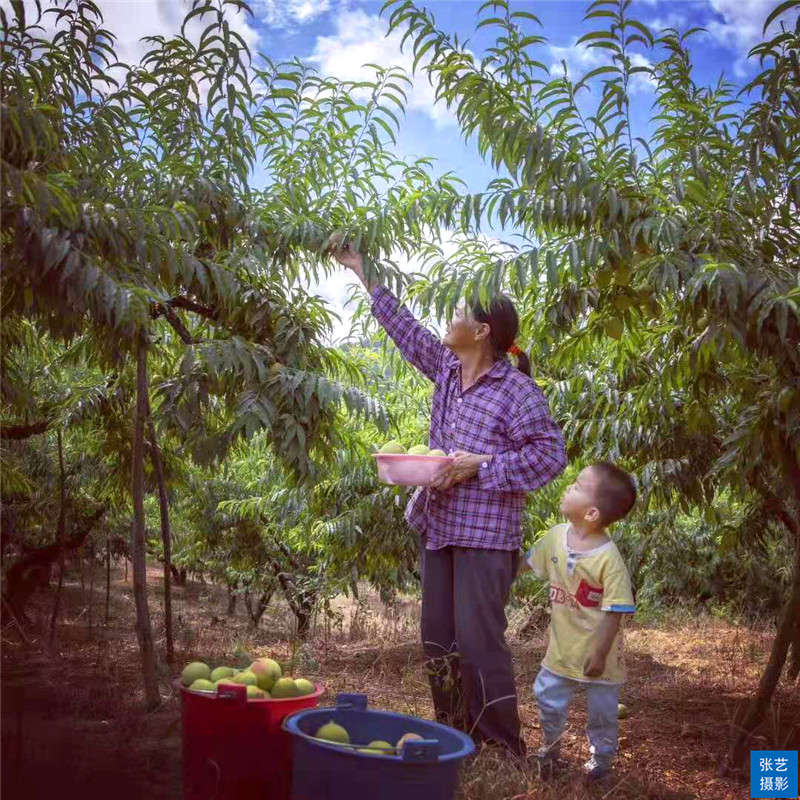 80后放弃广州高薪回家创业,放弃深圳高薪回家农村创业