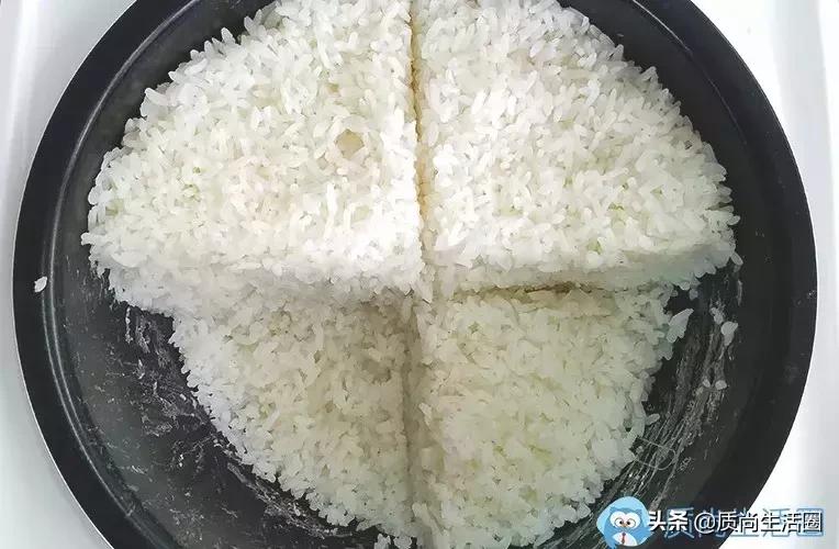 小米电饭煲哪一款煮饭速度快,电饭锅测评迷你