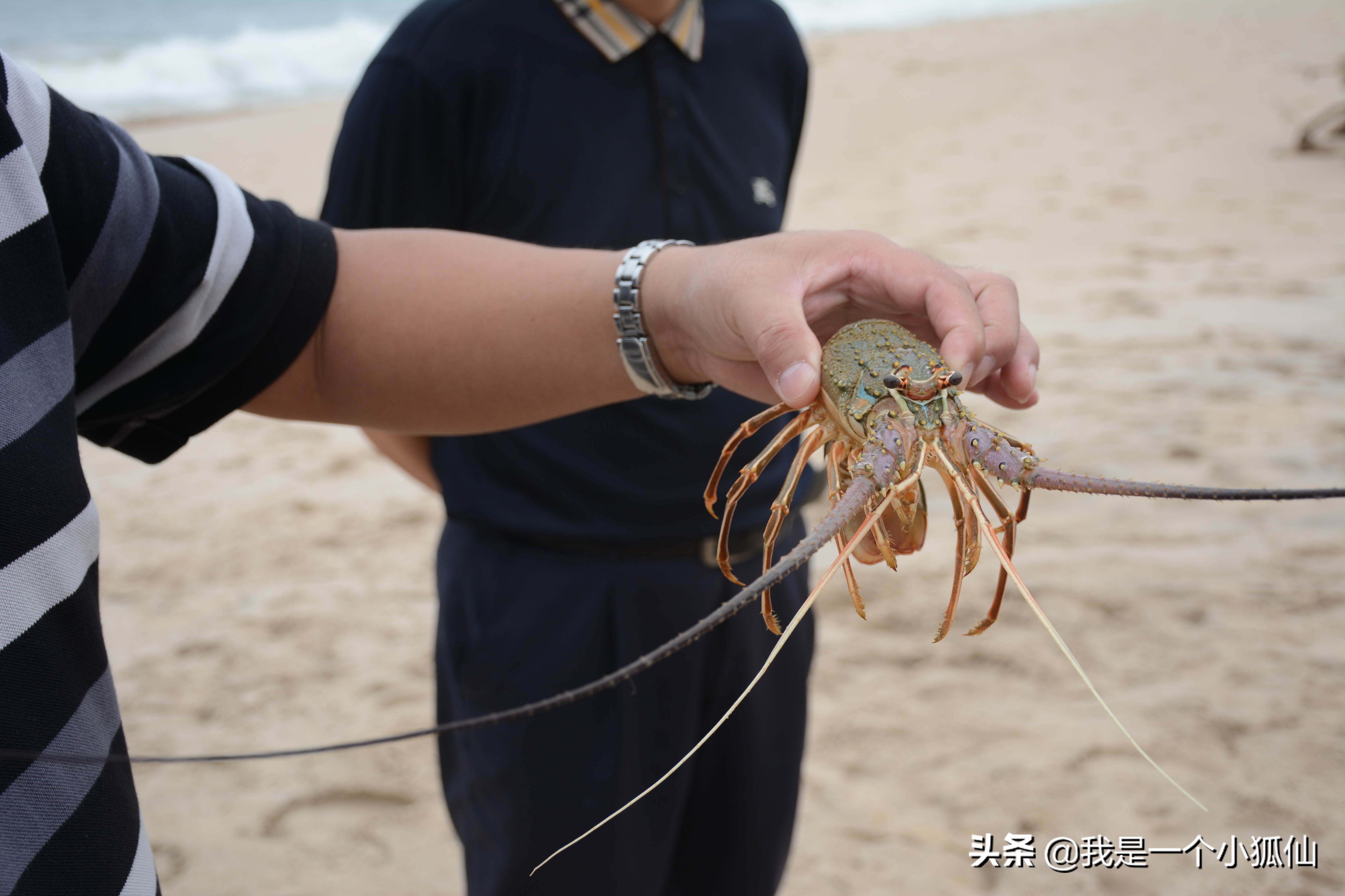 我在安哥拉海边等着驾独木舟打渔的黑人回来，买他们刚捞到的海鲜