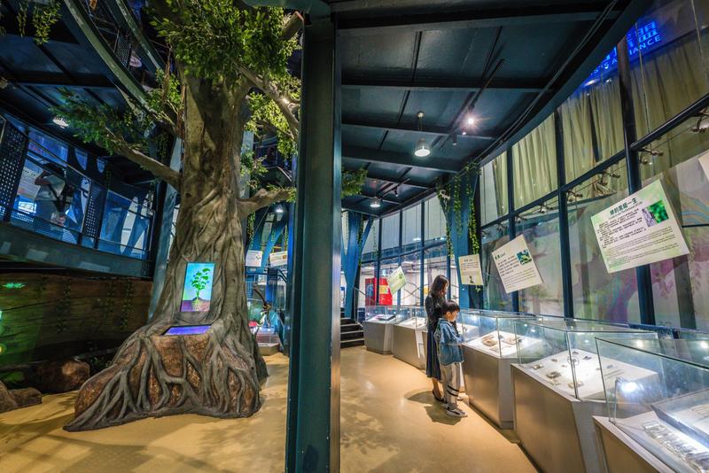 厦门冬春攻略,夏天厦门旅游攻略美食篇