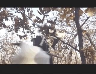 西门无恨什么实力,西门无恨大揭秘