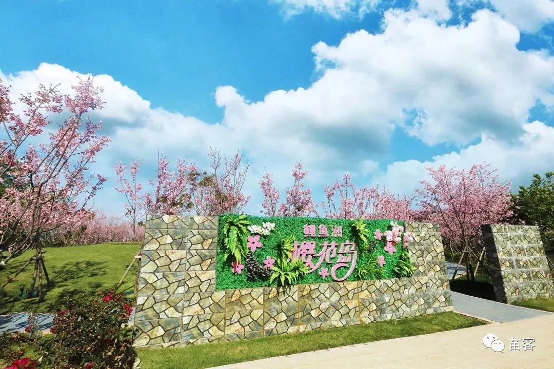 福州一日游不要钱最佳景点,福州周边短途一日游攻略的文章