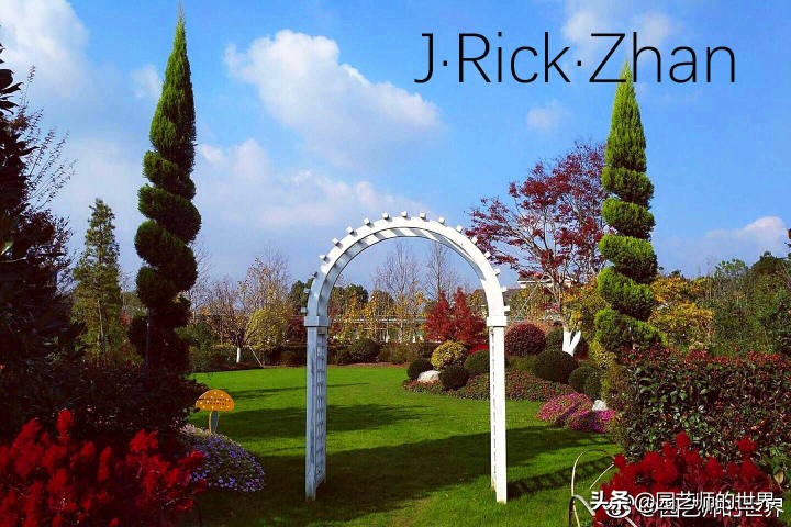 适合北方庭院种植的低矮草坪,家庭庭院怎样混搭种植草坪和蔬菜