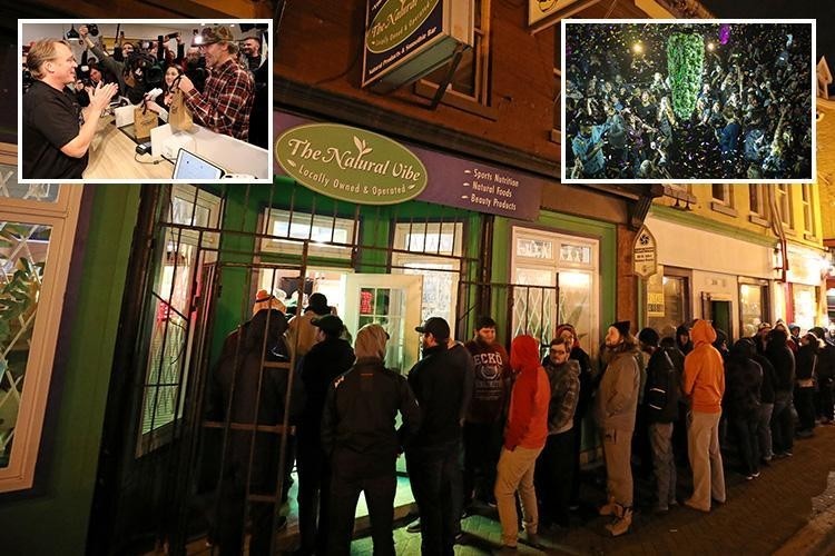 加拿大油菜籽出口滞销,加拿大大麻滞销