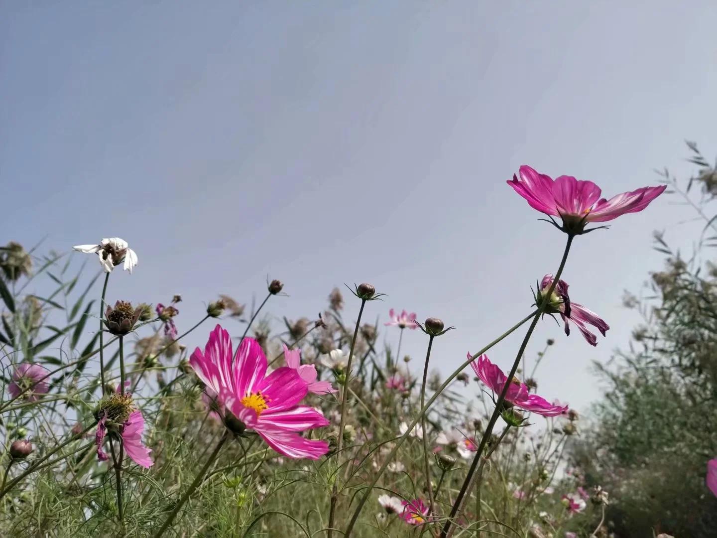 新疆南疆6天旅游攻略完整版,从库车出发新疆旅游攻略