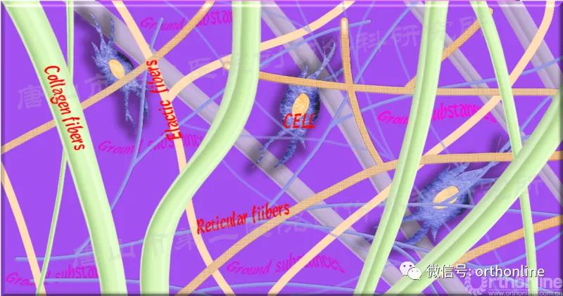 手部肌腱不完全断裂能完全复原吗,手部屈指肌腱损伤最难处理的部位