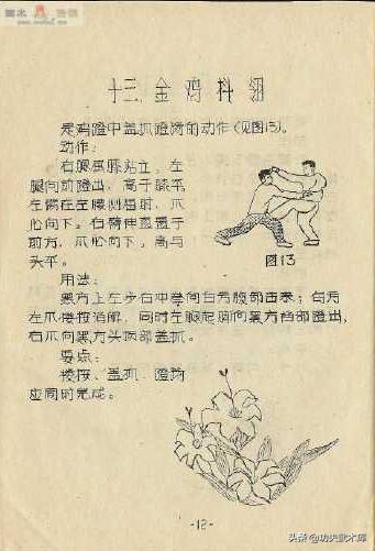 少林十三抓拳谱,古传拳经拳法秘要手抄本