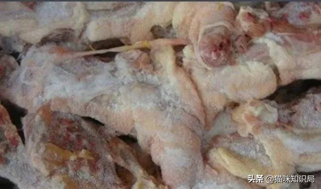 猫冻干有哪些种类,冻干会导致猫软便吗