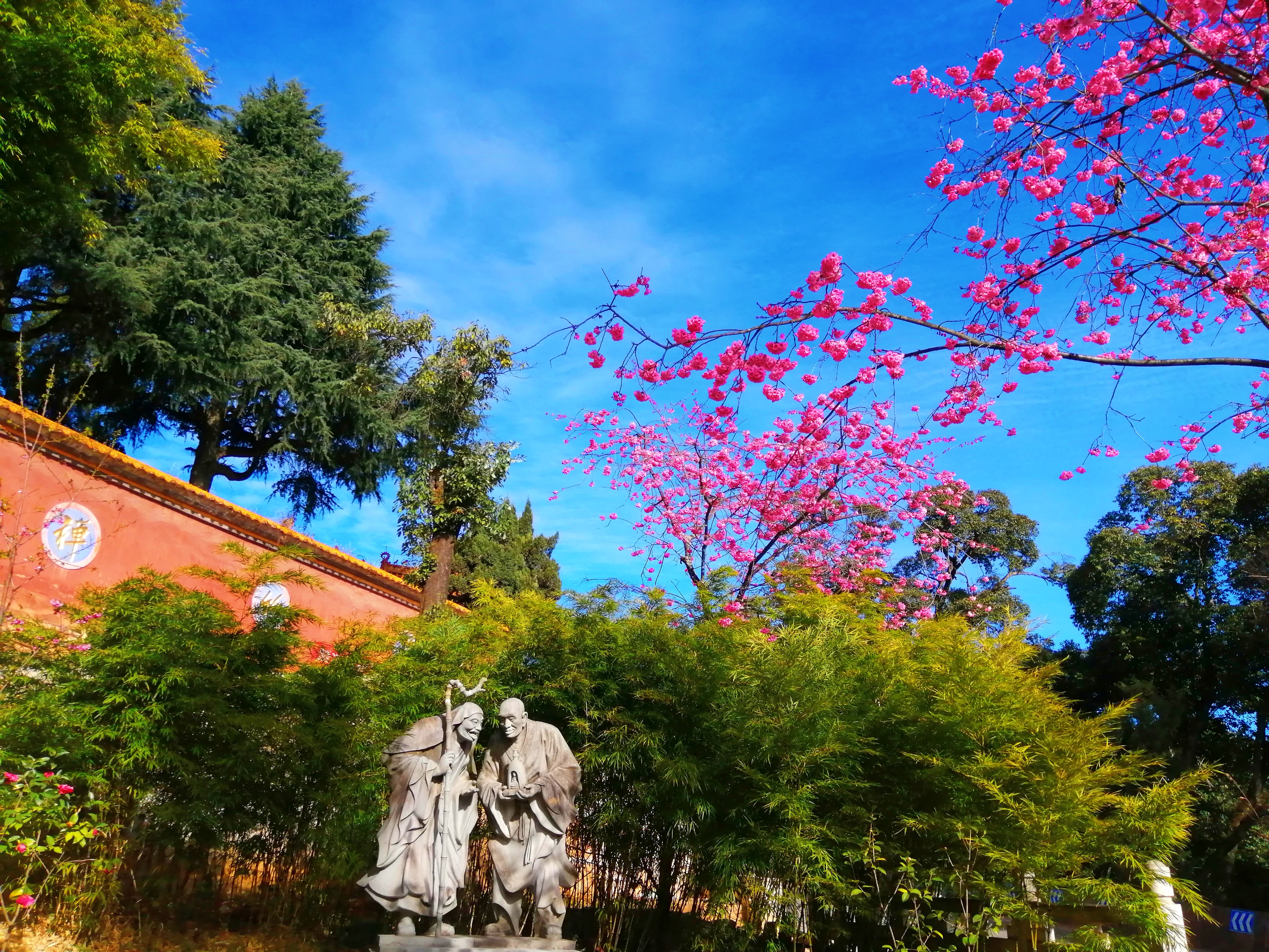 昆明筇竹寺故事 (昆明筇竹寺传说故事)