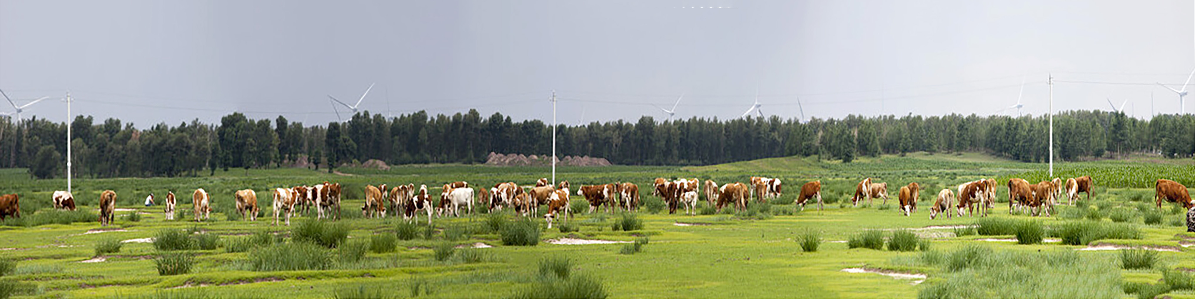 接片摄影方法,接片的拍摄和后期