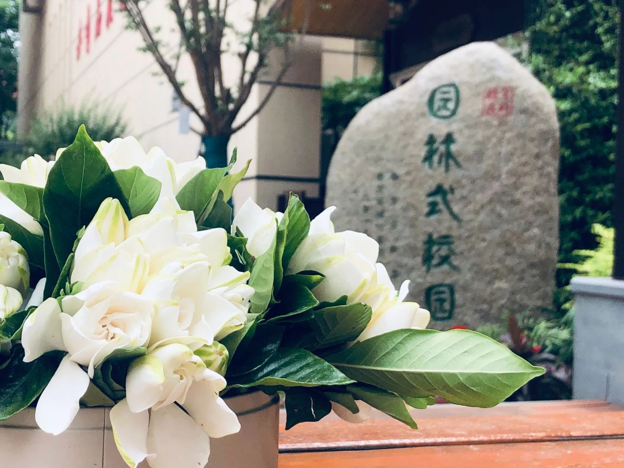 南京教育集团有哪些校,南京一中教育集团