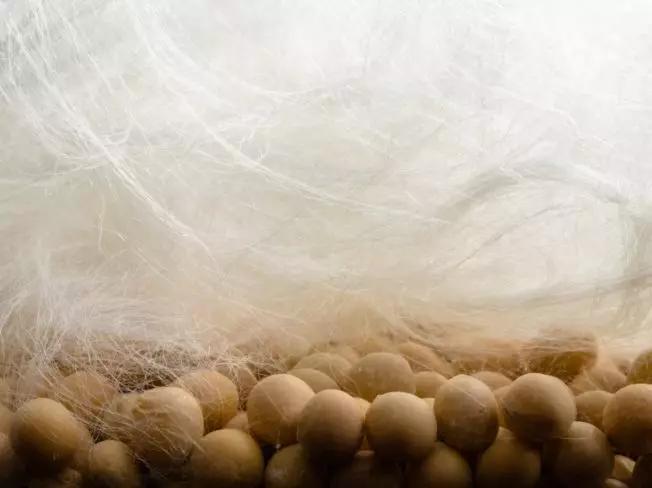 夏天盖这床抑菌又清凉软糯的大豆空调被,边睡边美容,舒服