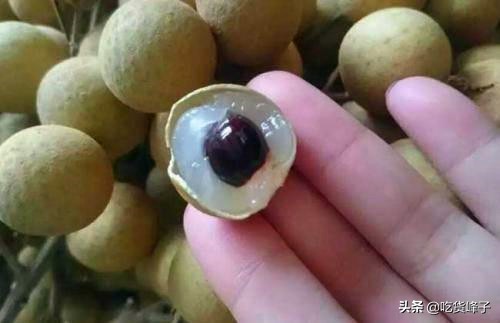 8月，爱吃龙眼的要当心，我也是刚刚才知道，看后记得告诉家里人