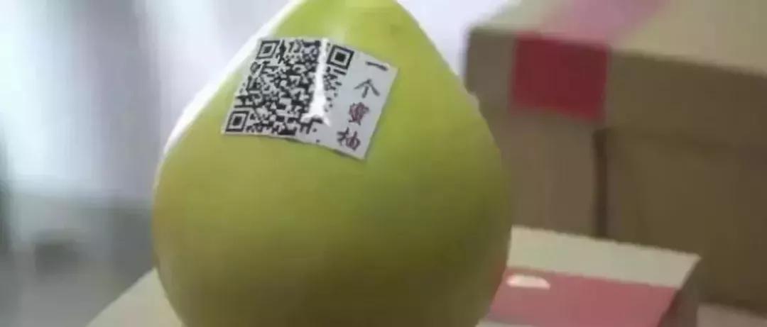 超拼视频购丨直播黑科技，90后“新农人”这样玩转果园