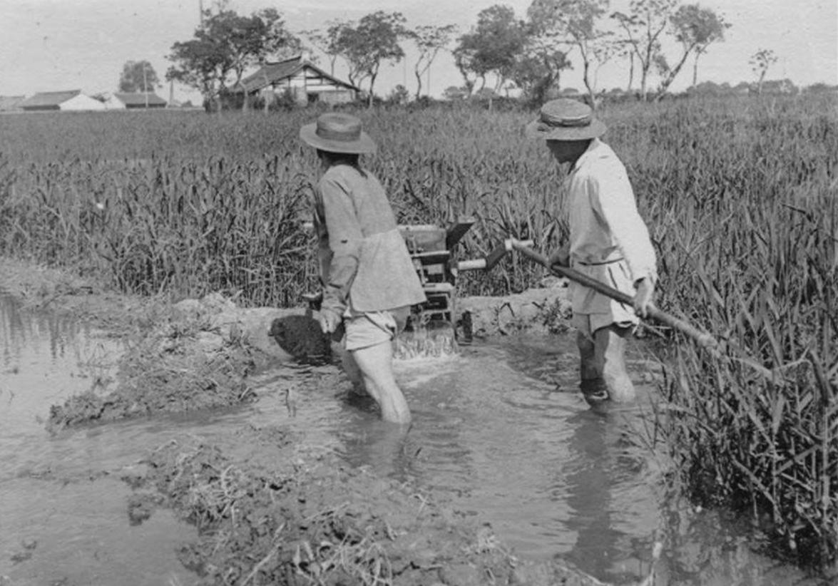 一落魄台籍老农回乡，中组部严肃调查：恢复*党**籍，享受干部待遇