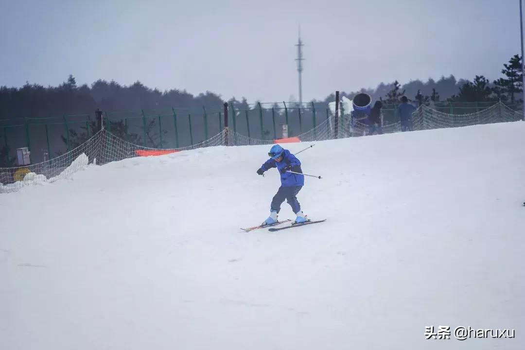 南方也能下雪吗,南方也能见到雪