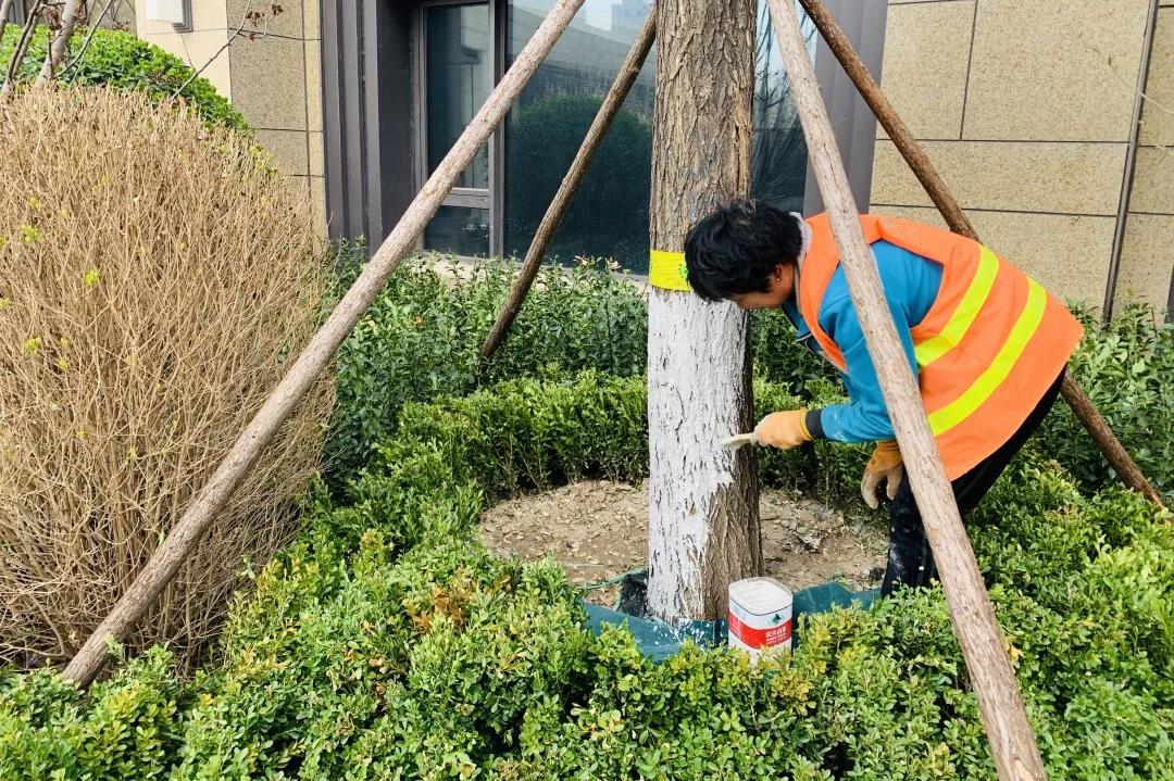 走在春天里简谱,歌曲走在春天里