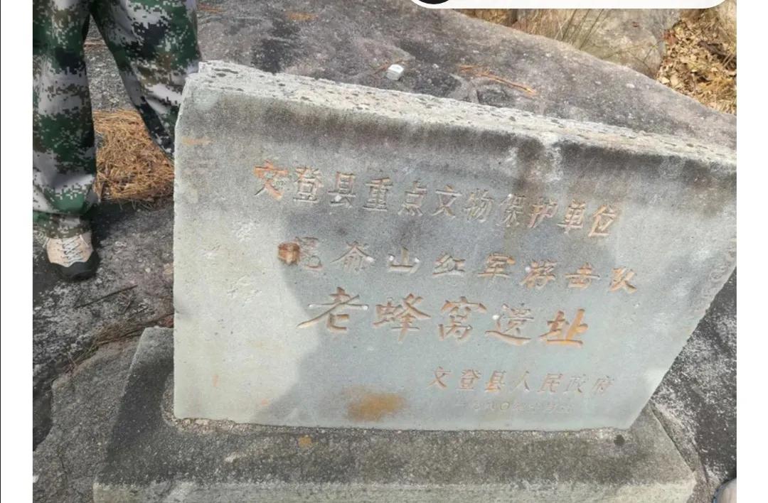 文登西洋参园,天福山文登