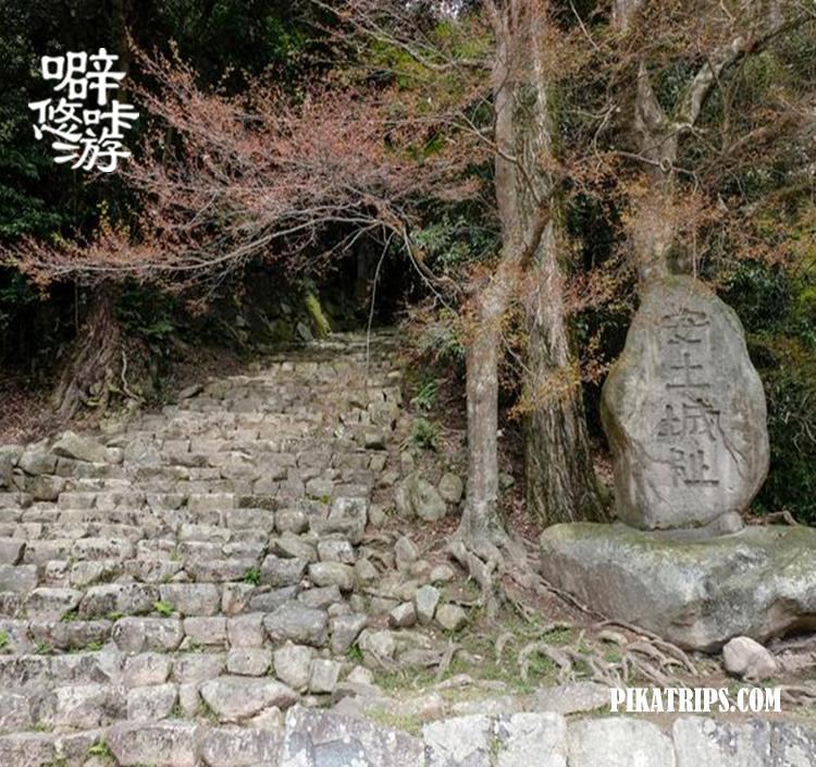 日本京都府旅游攻略,旅行日本京都滋贺