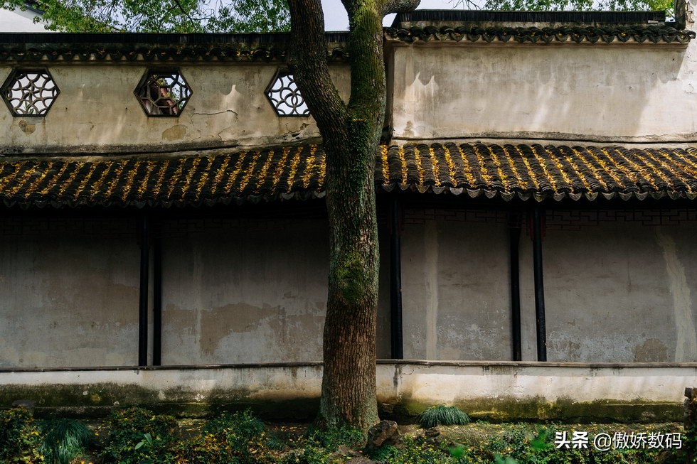 拙政园最让人欣赏的地方,拙政园十大特色