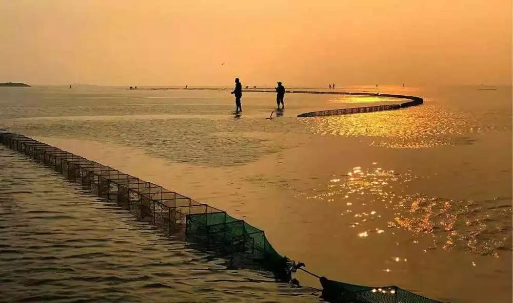 【读历史游盘锦】几许渔人飞短舟,尽载灯火归村路渤海金滩蛤蜊岗