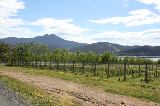 德国最适合旅游的十大酒庄,塔斯马尼亚岛最美的地方