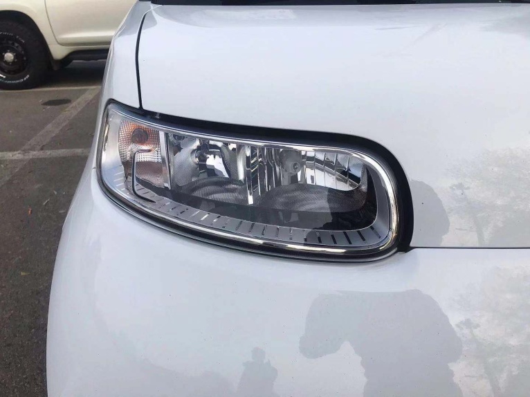 薛定谔的猫实测,欧拉白猫小野猫试驾