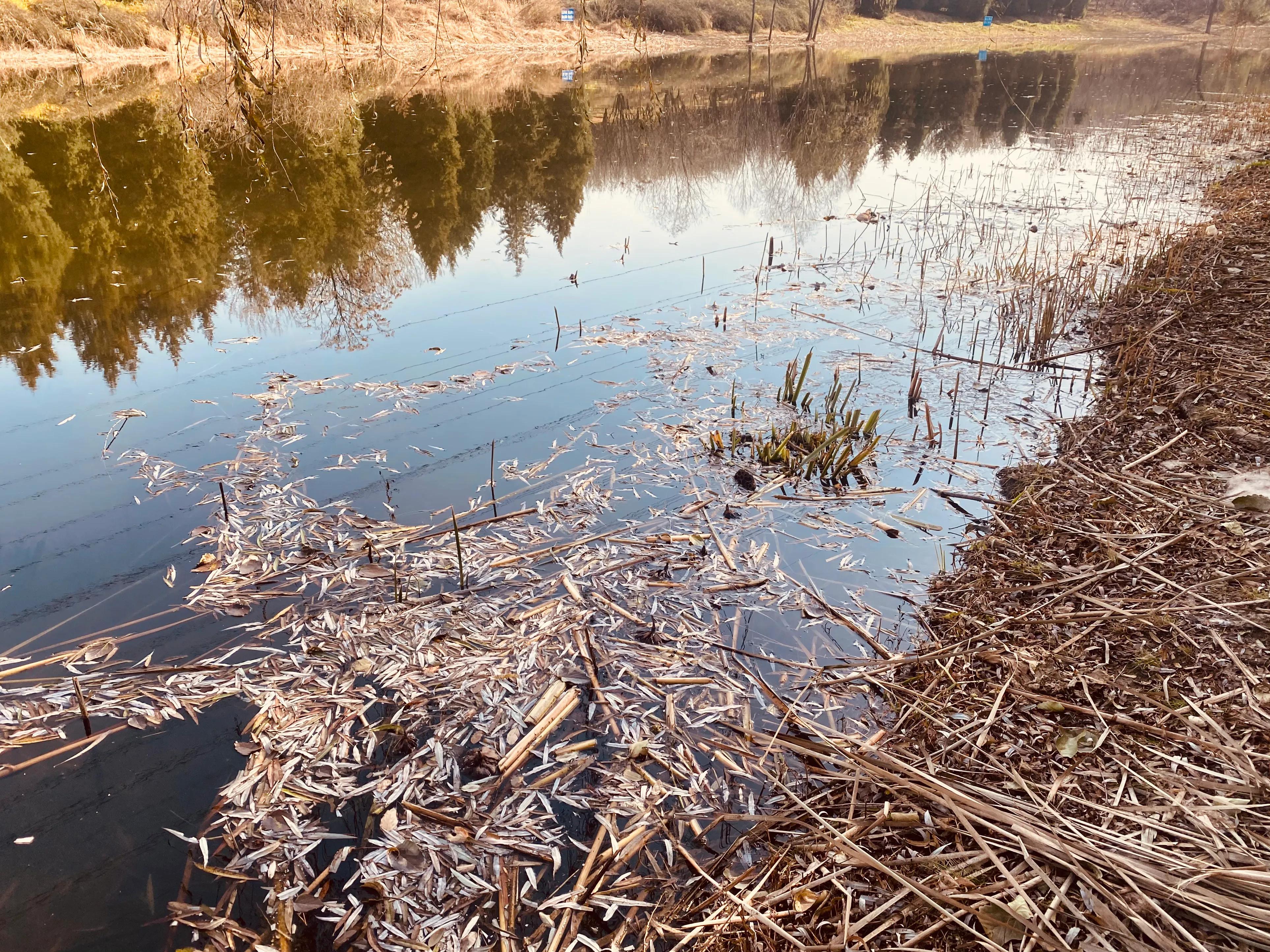 奥森冬天带娃游玩攻略,奥森公园亲子游攻略