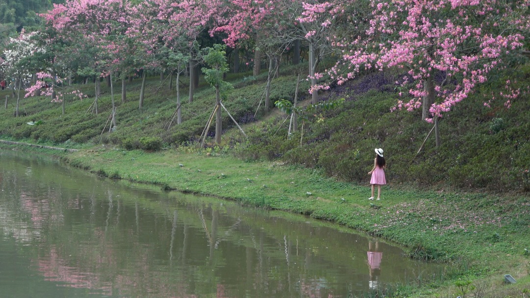森波拉森林景区,广东清远森波拉旅游度假区