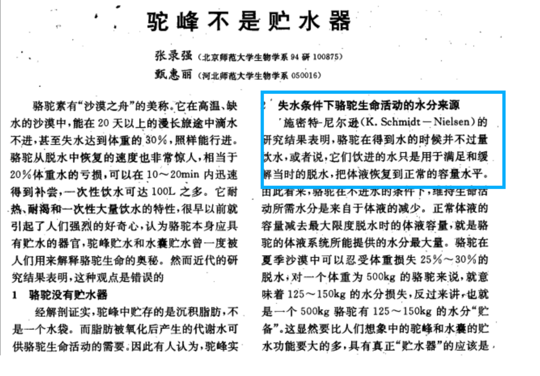 被称为沙漠之舟的骆驼站,被誉为沙漠之舟的骆驼原版