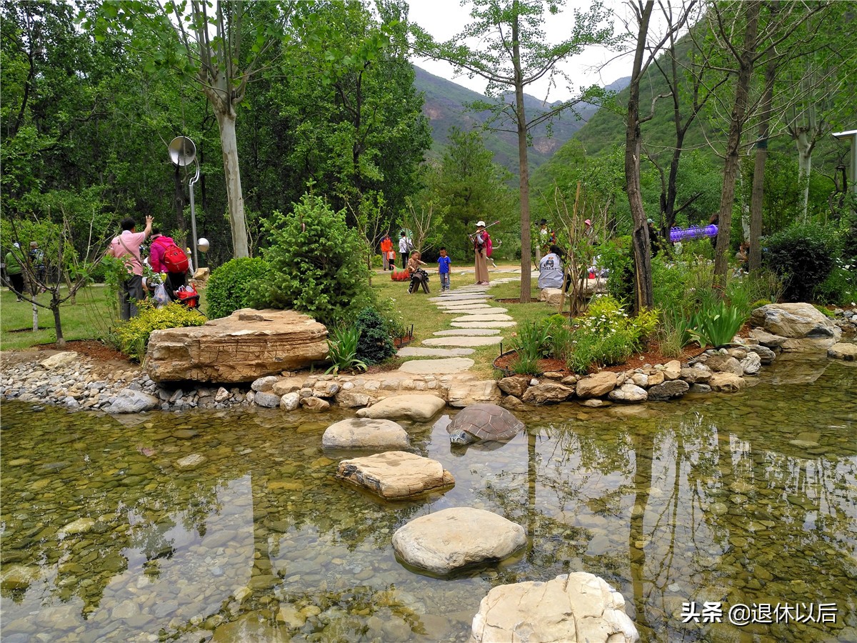 森林中的童话树屋,原始森林里的童话世界