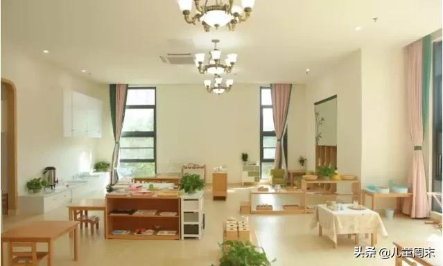 深圳市托育园,深圳育托园最新视频