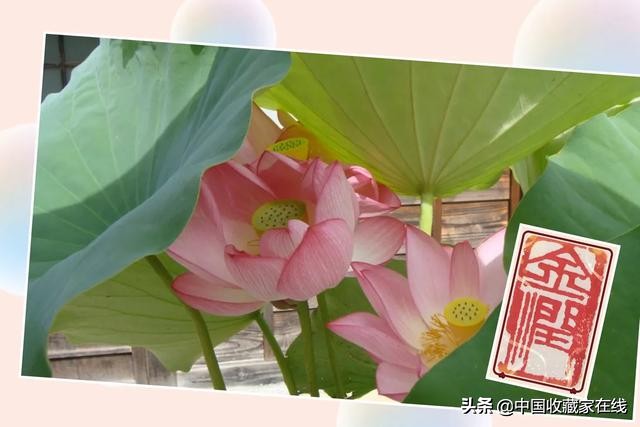 秘藏|藏传佛教之八《转世认定制度与历代班禅的简述》,上