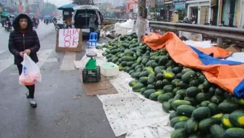 龙虾没人吃,龙虾不吃东西