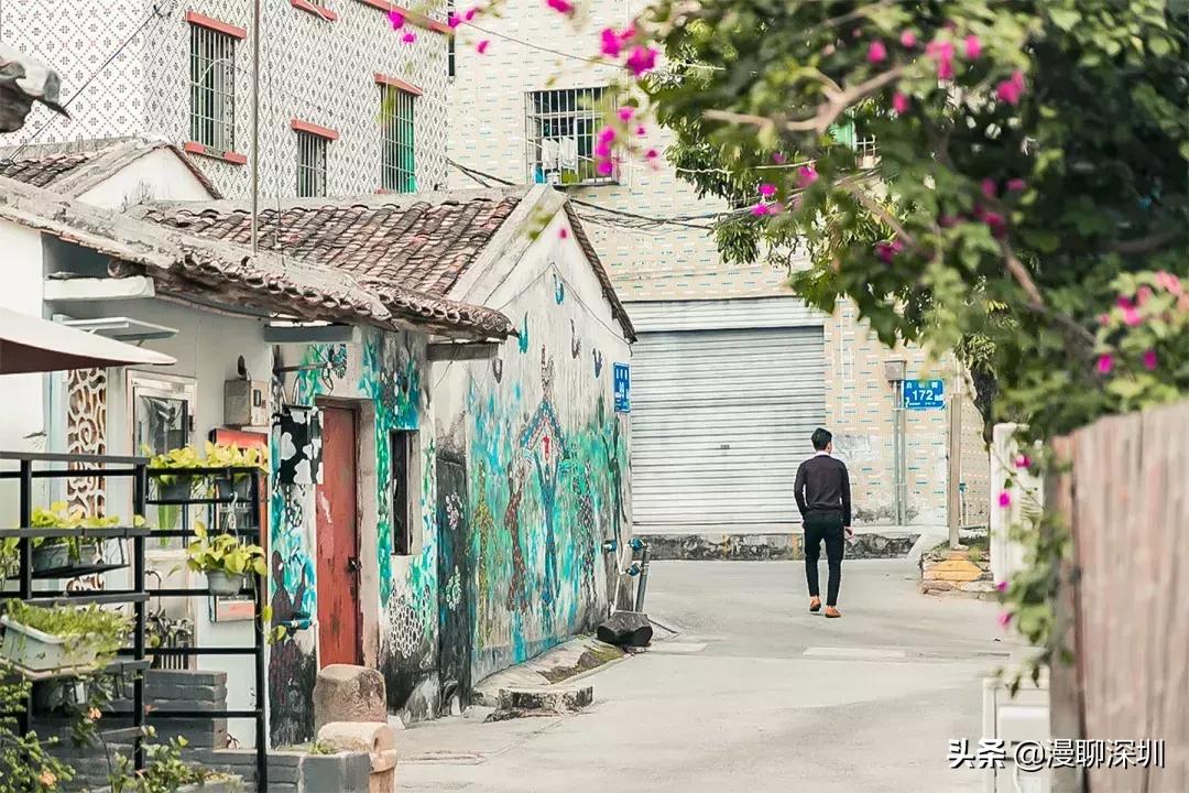 行走深圳歌曲,深圳观澜攻略