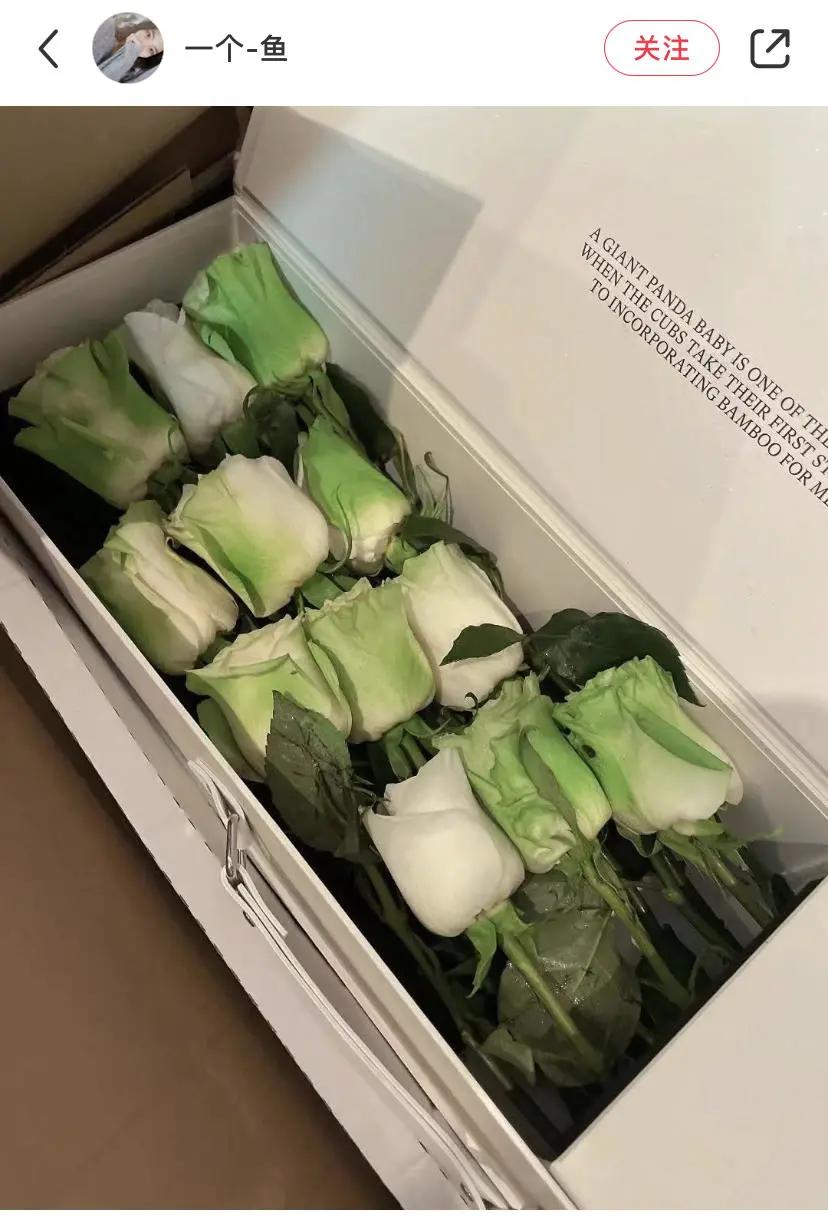 野兽派一支玫瑰多少钱,野兽派2万多的花