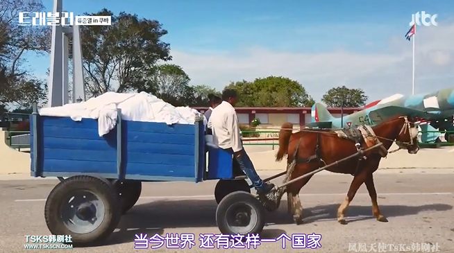 神仙综艺下饭,神仙综艺评分9